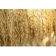 thumbnail image 6 of Brown Basmati Rice, 8 Pounds — Raw, Vegan, Kosher — by Food to Live, 6 of 6