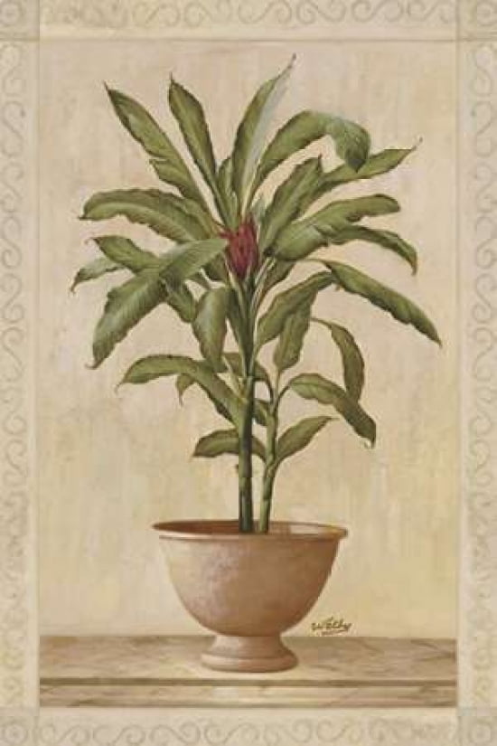 Potted Palm I Canva