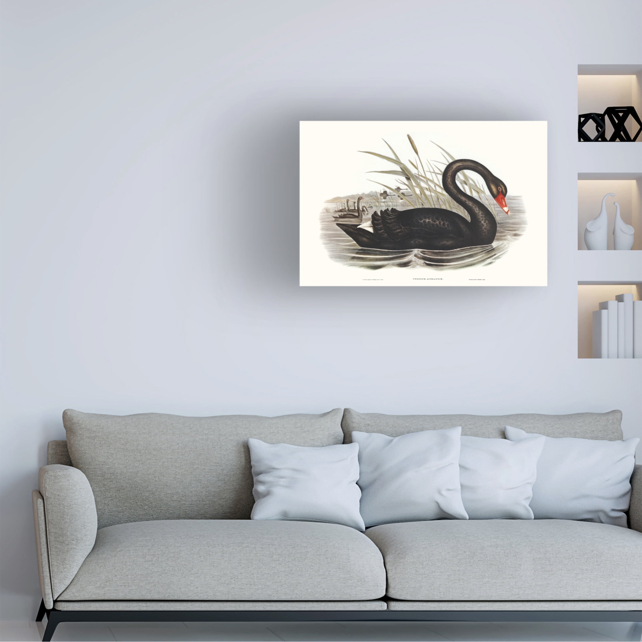 Trademark Fine Art Elizabeth Gould  Majestic Waterbird III Canvas Wall Art