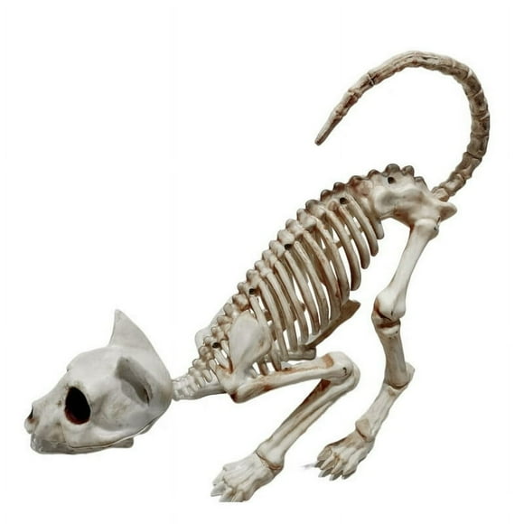 AMERTEER Skeleton Ornament Halloween Decoration Realistic Looking Decorative Enhance Atmosphere Plastic Horror Cat Skeleton Halloween Ornament for Home