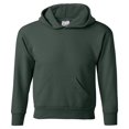 thumbnail image 1 of Hanes Jeunesse Comfortblend Ecosmart Chandail à Capuchon en Molleton, 1 of 1