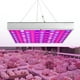 thumbnail image 5 of Luz De Planta, Luces De Cultivo LED Lámpara De Cultivo De Espectro Completo, Liviana Para Plantar En Interiores Familiares Flores Plantas En Macetas Sótanos ANGGREK AGX2261, 5 of 8
