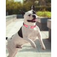 thumbnail image 2 of Collar para perros TagMe reflectante de nailon ajustable para perros pequeños, 2 of 7