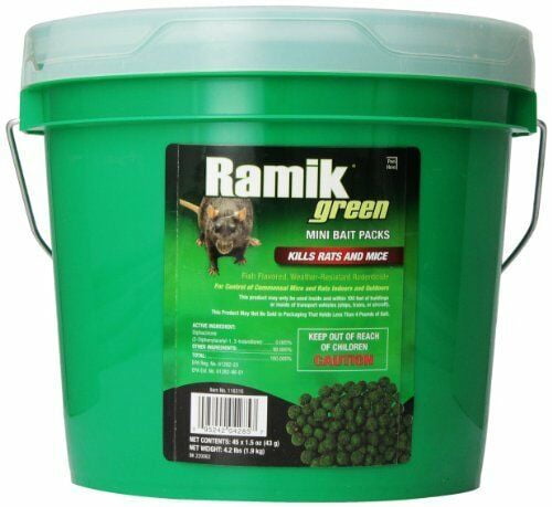 antidote for rat poison antidote for rat poison
