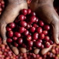 thumbnail image 3 of Exfoliante mágico para labios de Sudáfrica, aclara los labios pigmentados, elimina los labios oscuros, los labios negros se convierten en rosas, deja los labios rosas de forma permanente, 3 of 3