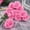 Pink, variant on Realistic Deep Red Artificial Rose with Stem for Weddings, Parties, and Home Decor