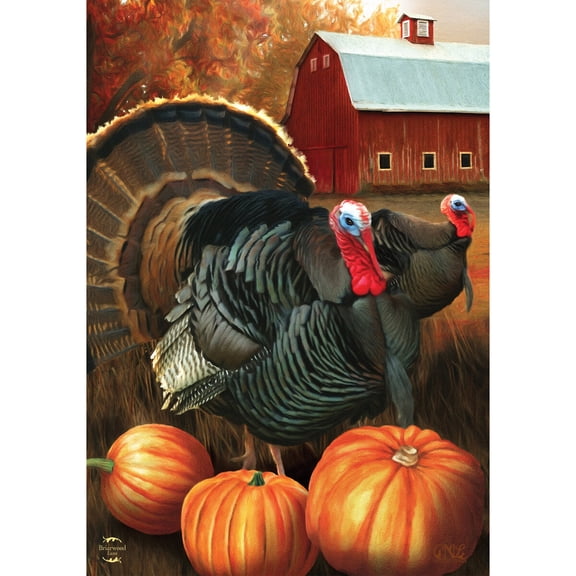Briarwood Lane Fall Thanksgiving House Flag 40x28 For Outdoor Autumn Turkeys For Thanksgiving House Flag