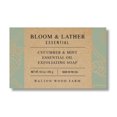 thumbnail image 1 of WALTON WOOD FARM CUCUMBER MINT SOAP BAR - PACK OF 3, 1 of 1