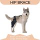 thumbnail image 4 of Dog Knee Brace, Leg Support Brace, Adjustable Rear Leg Braces For Injury Dogs For Torn Acl & Ccl Better Recovery, 4 of 5