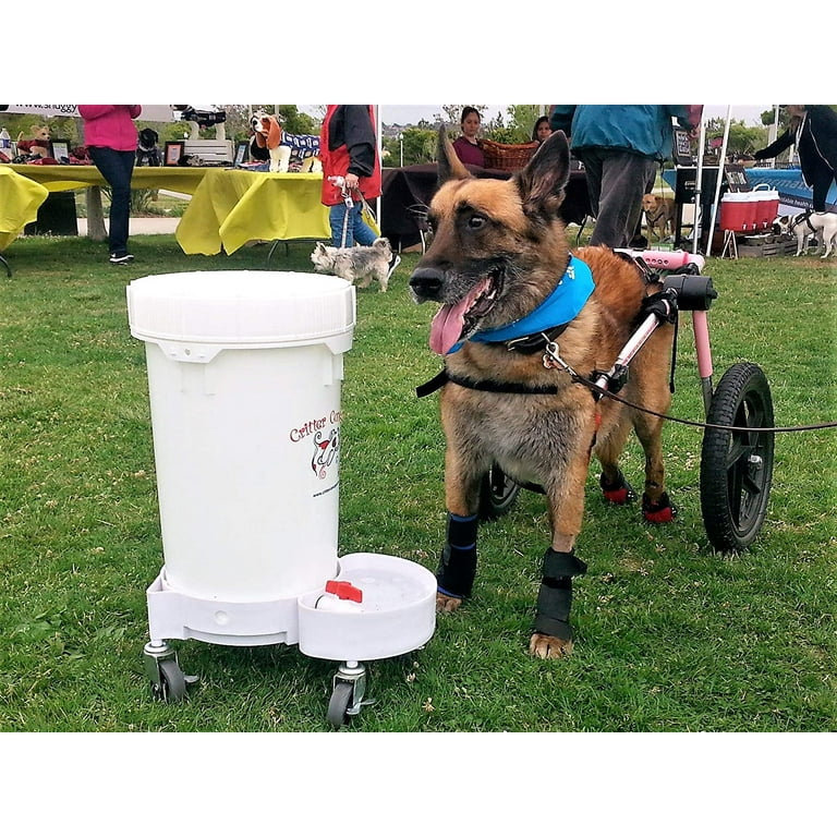 Critter concepts dog water dispenser sales
