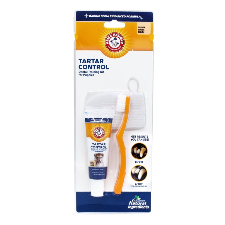 Arm & Hammer Puppy Tartar Control Training Kit, Vanilla Ginger photo 6