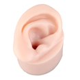 thumbnail image 4 of Piercing Ear Model, Reusable Display Ear Model Silicone Soft Elastic  for Jewelry Store Left,Right, 4 of 7