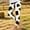Multicolor, variant on LvhaoGJOB Leggings for Girls' Cozy Stylish Design yoga pants active leggings stretch pants yoga class leggings