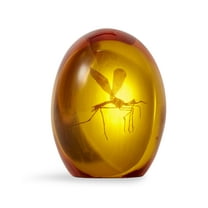Jurassic Park Mosquito In Amber Resin Paper Weight | Measures 3 Inches Tall