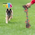 thumbnail image 4 of Juguete Hueso Med De Hilo Pal Thread Fancy Pets HUESO, 4 of 4