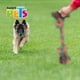 thumbnail image 4 of Juguete Hueso Med De Hilo Pal Thread Fancy Pets HUESO, 4 of 4