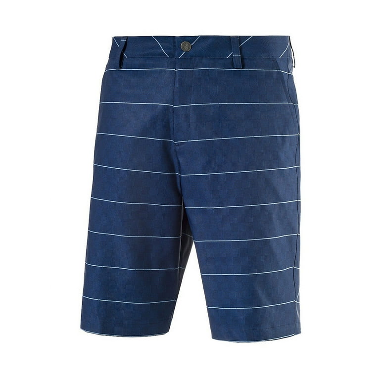 Puma shorts best sale mens 2017