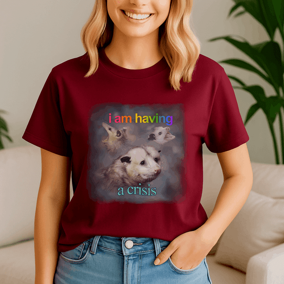 I Am Having A Crisis Possum Word Shirt, Meme Tee, Trending Tshirt, Funny Friend Gift, Quote Cute