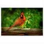 Trademark Fine Art "Cardinal in Summer" Canvas Art by Lois Bryan