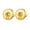 Gold Ear Stud, variant on Earring Backs Replacement Ear Studs Gifts Jewelry Supplies Ear Earring Stopper for Holiday Outdoor Travel Mother's Ear Stud Stick