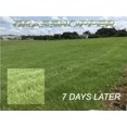 thumbnail image 2 of Grasshopper 19-19-19 Foliar Fertilizer, 2 of 5