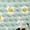 Bee Daisy, variant on Halloween Shoes for Kids Green Pumpkin Bat Ghost Tennis Shoes Size 4 Mesh Sneaker Adjustable Sport Athletic Sneakers Lightweight Halloween Shoe