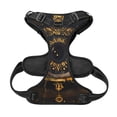 thumbnail image 5 of Lsque Mystical Golden Eye Dog Harness, No-Pull Pet Harness with 2 Leash Clips, Adjustable Soft Padded Dog Vest with Easy Control Handle for Large Dogs-Large, 5 of 9