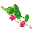 thumbnail image 1 of HEVIRGO Artificial Flowers for Decoration Artificial Flowers No Withering Decorative Full of Vitality Lotus Faux Silk Artificial Flowers for Garden,Rose Red, 1 of 8
