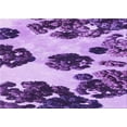 thumbnail image 1 of Ahgly Company Machine Washable Indoor Rectangle Transitional Violet Purple Area Rugs, 5' x 7', 1 of 7