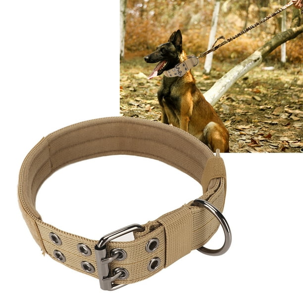 Collar para Perros de Diseñador Collares para Perros Lindos para Niña Mujer Perros Pequeños Medianos y Grandes Collares de Nylon de Seguridad Ajustables Collar para Perros ANGGREK Otros