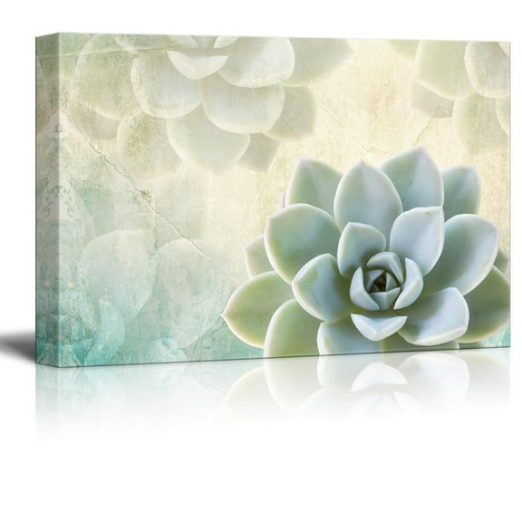 wall26 Canvas Print Wall Art - Succulent Plants on Retro Style Background - Gallery Wrap Modern Home Art | Ready to Hang - 16x24 inches