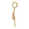 thumbnail image 2 of 14K Two-Tone Gold Charm Pendant Themed White 15 Flat Back Diamond-Cut 21.97 mm 10.5, 2 of 4