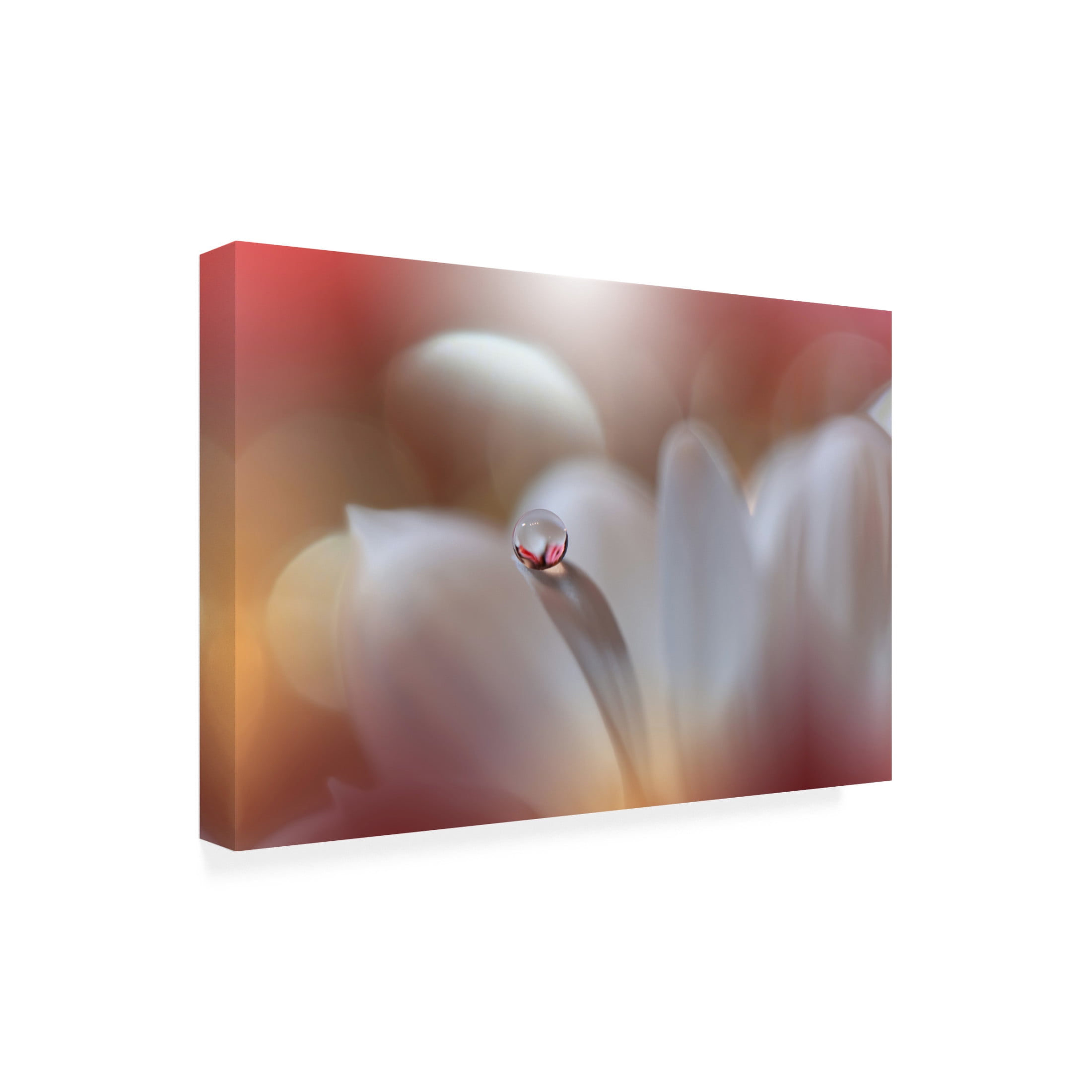 Canvas Wall Art - Juliana Nan 'Enigma ' Wall Art for Living Room, Bedroom, or Office D?cor by Trademark Fine Art - 47 x 30 Inches