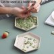 thumbnail image 5 of 5 Pack Premium Dessert Plate, 6.7 X 5.9" Reusable Appetizer Plates, 5 of 5