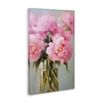 thumbnail image 3 of Stupell Industries Cottage Blush Pink Roses Canvas Art, 30 x 45, by Petals Prints Design, 3 of 8