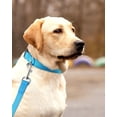thumbnail image 7 of Minzimin 1Pcs Reflective Dog Collar with Buckle Adjustable Safety Nylon Collars for Small Medium Large Dogs, 7 of 7