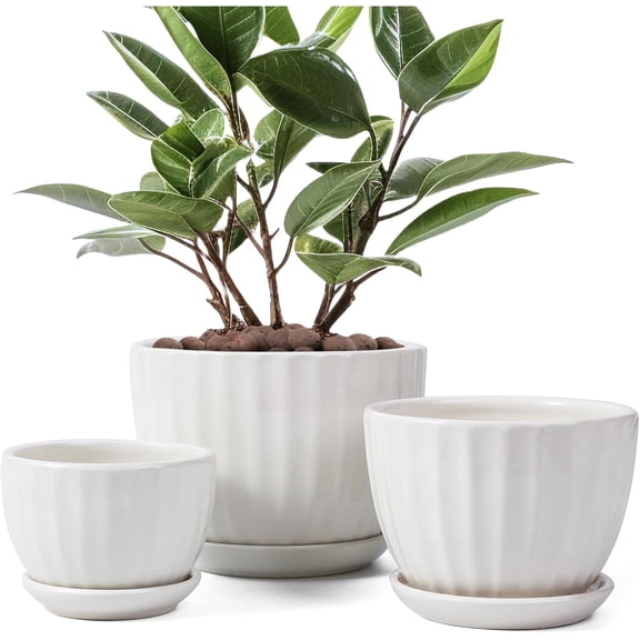 Ceramic Plant Pots with Drainage Holes and Saucers, Round White Flower for Indoor Plant, Diameter 3.3/4.3/5.5 Inches Small Planters Set of 3