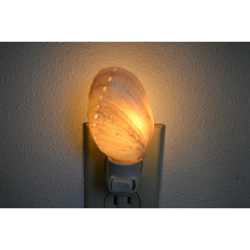 White Pearlized Abalone Sea Shell Night Light Bathroom Kitchen, Real Sea Shell Night Light By