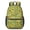 Sunflower Green Pattern, variant on Sunflower and Gingham Orange Pattern 17" Waterproof Oxford School Backpacks for Teens, S-Shape Padded Straps, for School, Travel, Hiking, Camping