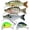 A1-2"-0.07oz, variant on TRUSCEND Shallow or Deep Diving Crankbait with BKK Hooks, Wobble Fishing Lures for Bass Trout Crappie Walleye, Sinking Lipless Vibe Crank Bait for Bass Pike, Amazing Swimbait for Family Fishing
