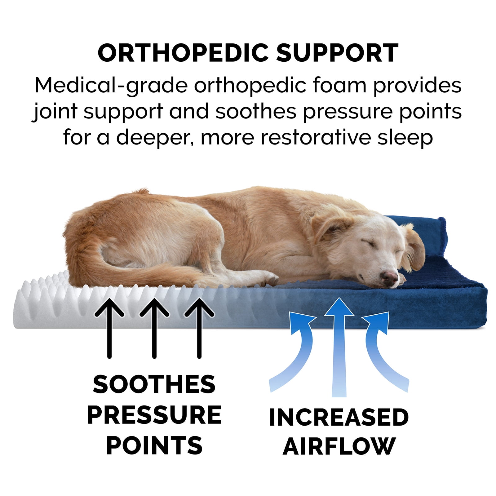 You want the best for your best friend, but finding a quality dog bed that provides real, long-lasting support is a challenge. Many beds flatten quickly or use subpar materials, leaving your pet on a
