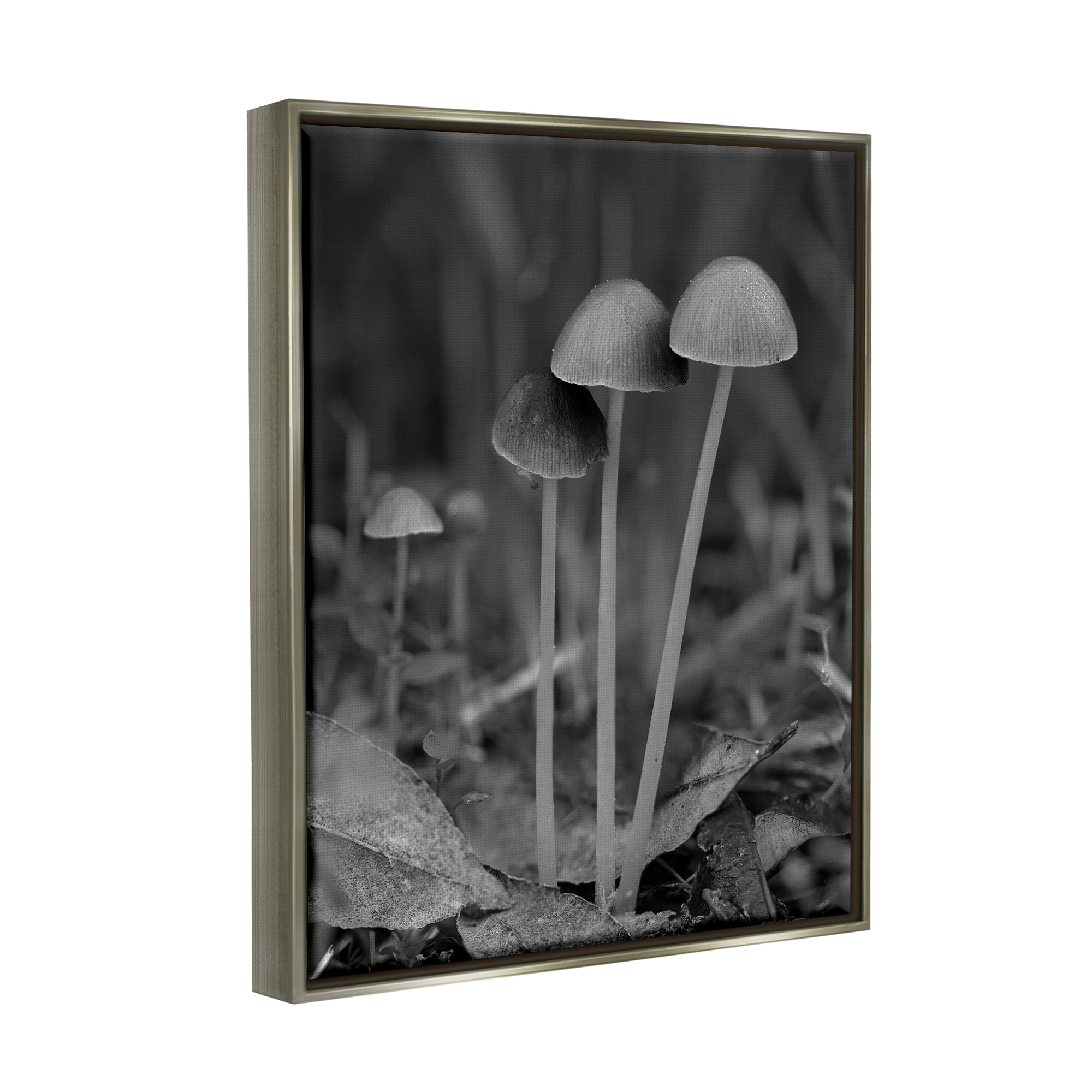 Stupell Industries Forest Mushroom Photography Botanical & Floral Photography Gray Floater Framed Canvas Art Print Wall Art, 17 x 21