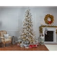 thumbnail image 4 of 9 ft. Pre Lit Cool White LED Lightly Flocked Snowbell Pine, 4 of 5
