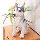 thumbnail image 3 of Juguete de peluche de perro Husky de alta calidad, perro lobo de simulación lindo, perro mascota, muñeca calmante, almohada suave, juguete para niños, regalo de cumpleaños y Navidad, nuevo, 3 of 5