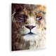 thumbnail image 1 of Cuadro Canvas Decorativo León, 1 of 4