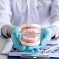 thumbnail image 6 of 2 Pack Dental Adult Standard Teeth Model Fake Denture Mouth Teeth Model Typodont Demonstration Denture Model for Kids Dentist Students Teach Studying Displaying Supplies, 6 of 7