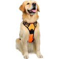 thumbnail image 2 of (Talla S) Arnés para perros naranja, arnés para mascotas sin tirones con 2 clips para correa, chaleco acolchado ajustable para perros, chaleco reflectante Oxford sin asfixia para mascotas con asa de, 2 of 4