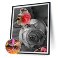 thumbnail image 2 of Kit de dibujo de taladro redondo completo DIY 5D mariposa rosa hecho a mano arte diamante pintura Likrtyny Arte deco, 2 of 9