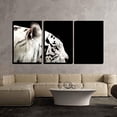 thumbnail image 2 of wall26 - 3 Piece Canvas Wall Art - Profile of Bengal White Tiger on a Black Background - Modern Home Art Stretched and Framed Ready to Hang - 16"x24"x3 Panels, 2 of 3