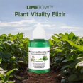 thumbnail image 2 of Plant Resurrection Liquid – Plant Growth Enhancer, Phyto Vitamin Solution, 2 of 5